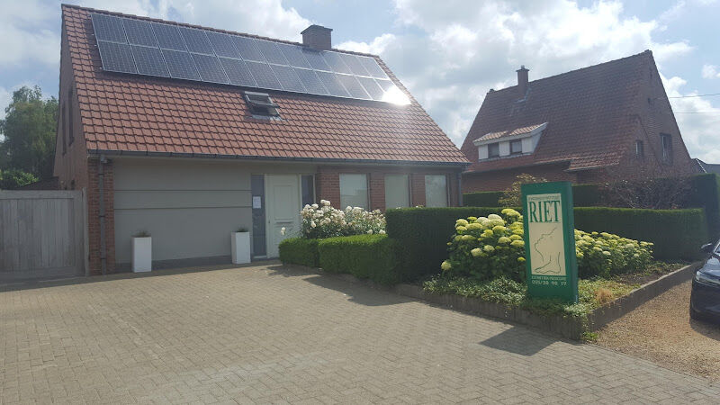 Foto van Soestronck / Riet