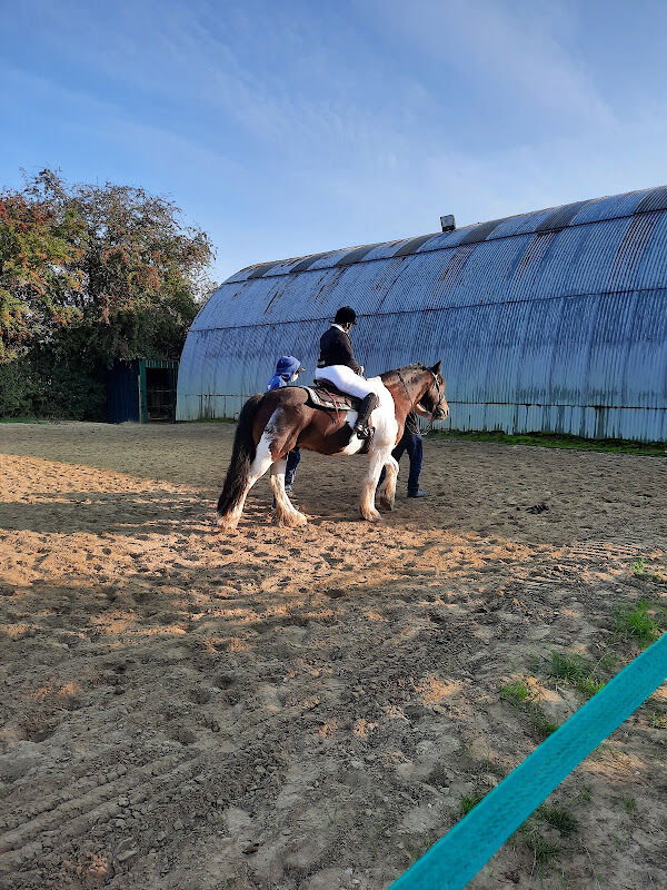 Foto van Manege Sint-Jorishoeve