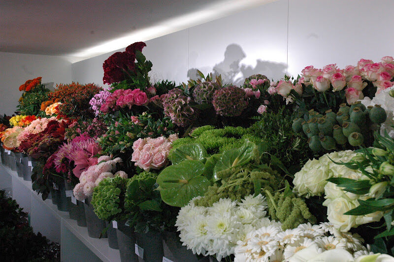 Foto van Bloemen Ann