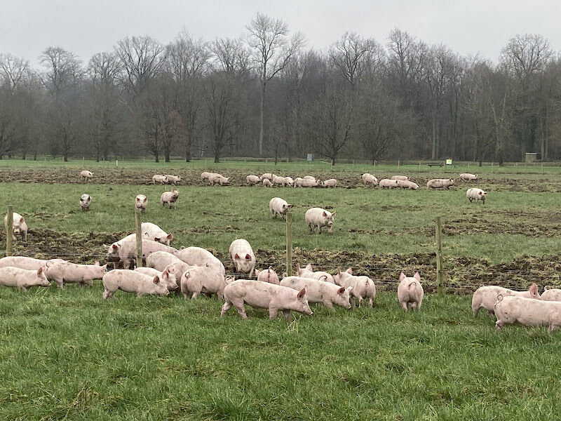 Foto van SDB Boerderij BV