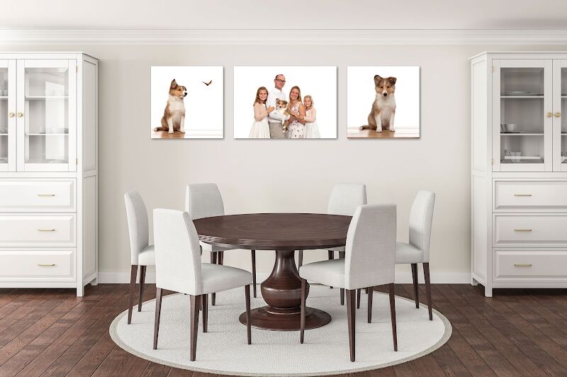 Foto van De Huisdierfotograaf