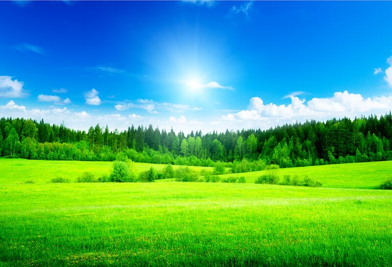 Foto van Todo's Green