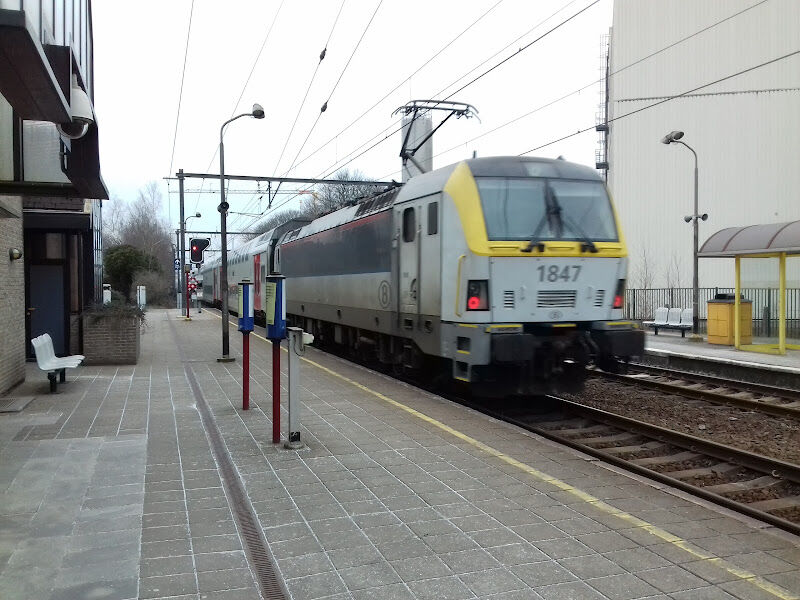 Foto van Zele