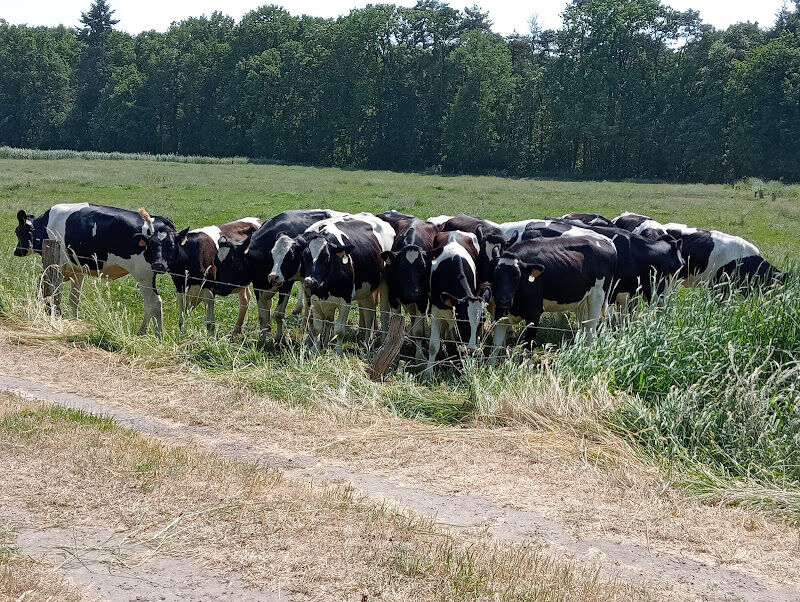 Foto van Dorpshuis Achterbroek