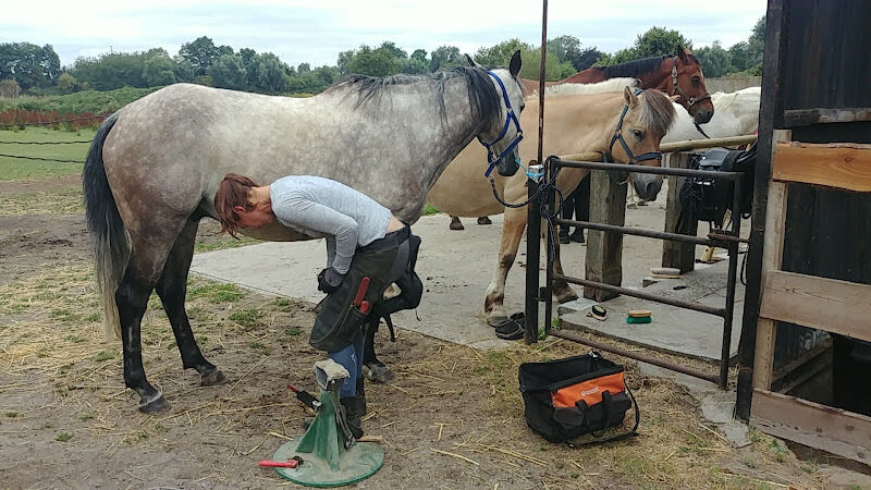 Foto van Hoeve Cavallo