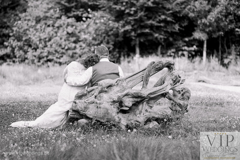 Foto van Fotomoment - MomentsPhotos - Thierry Botten - Photographe Fotograaf