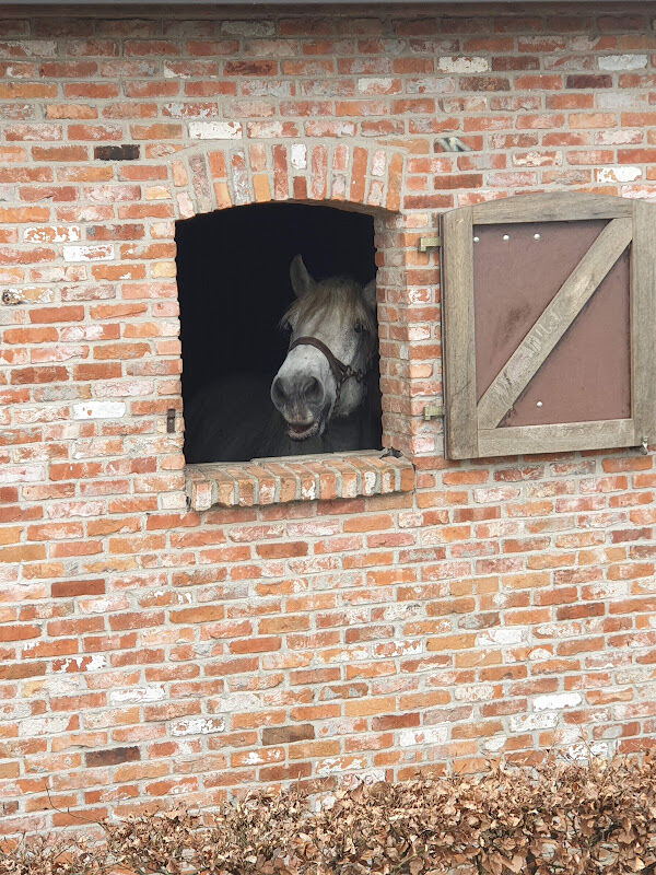 Foto van DAP Het Erf