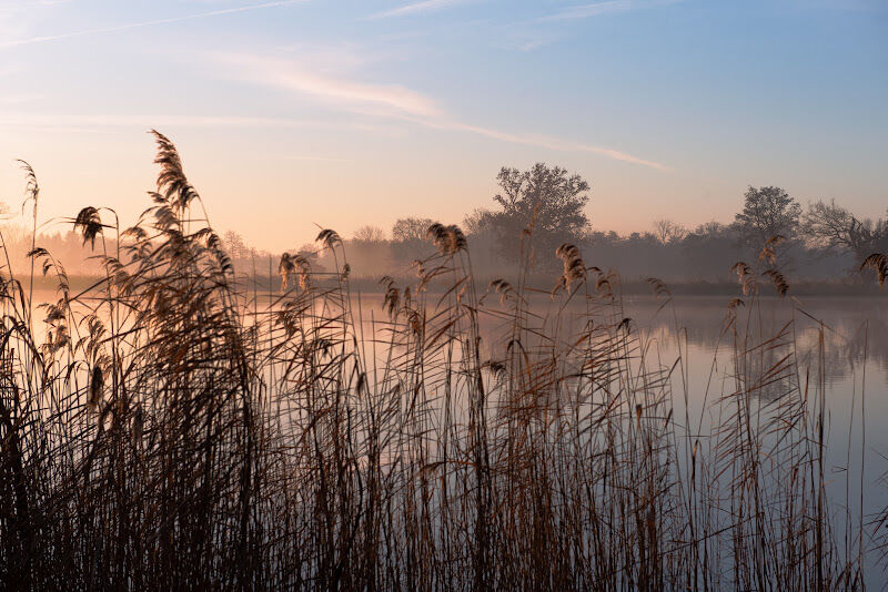 Foto van cjphotography