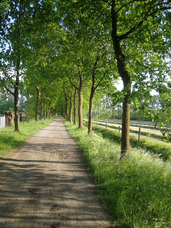 Foto van Arboretum Puurs