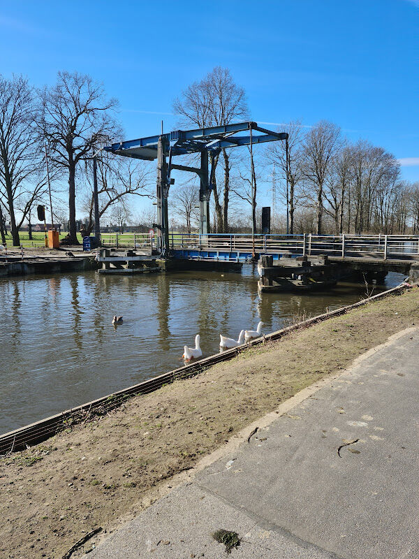 Foto van Brug 7 Rijkevorsel