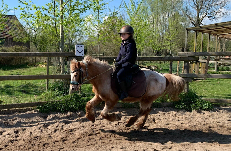 Foto van De Buckwalhoeve