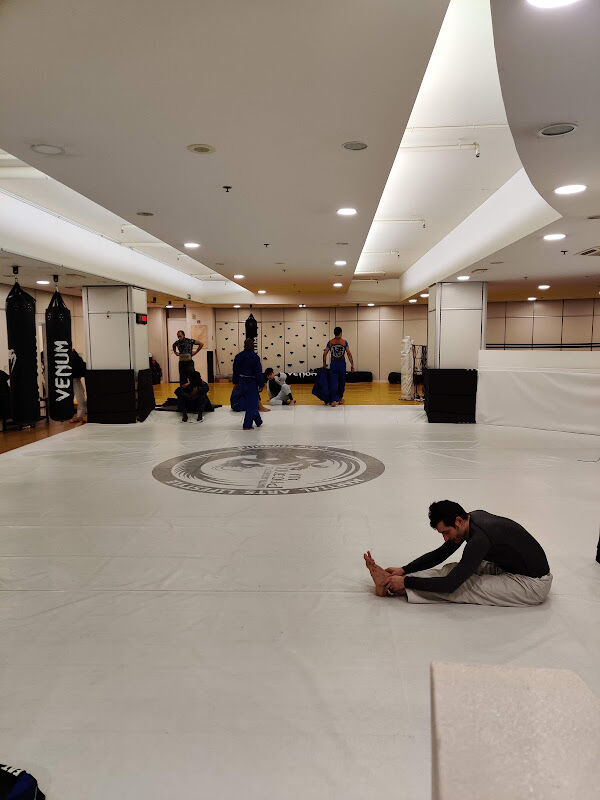 Foto van Phoenix A.D.A. Martial Arts