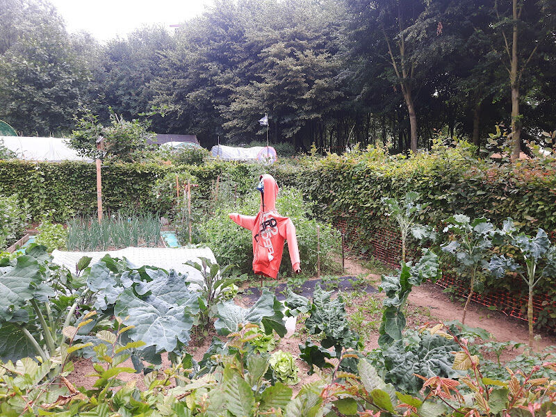 Foto van Ecologische tuin