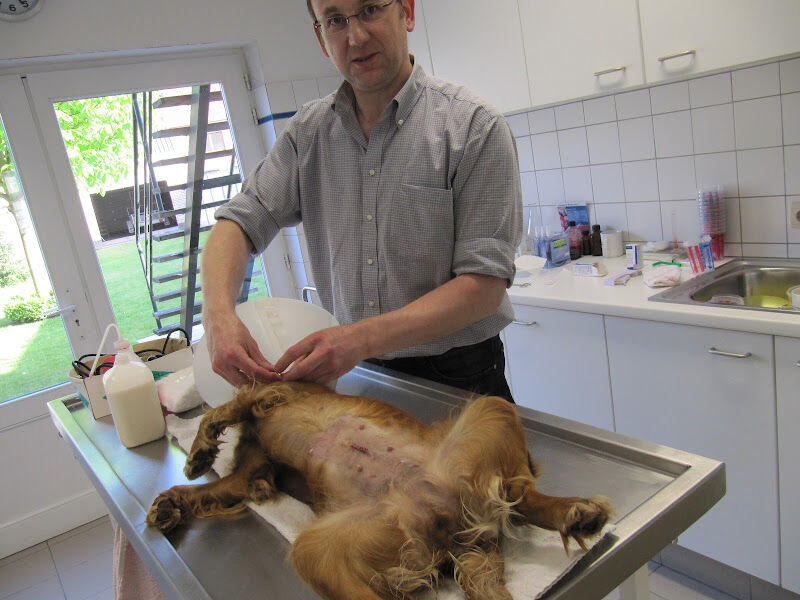Foto van De Maesschalck / Lieven