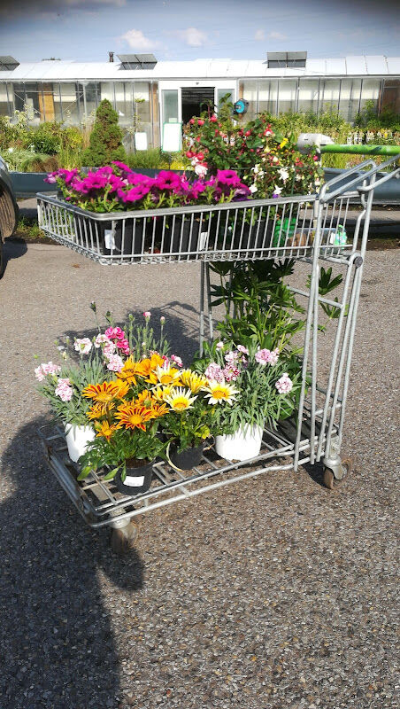 Foto van Tuincentrum Abies