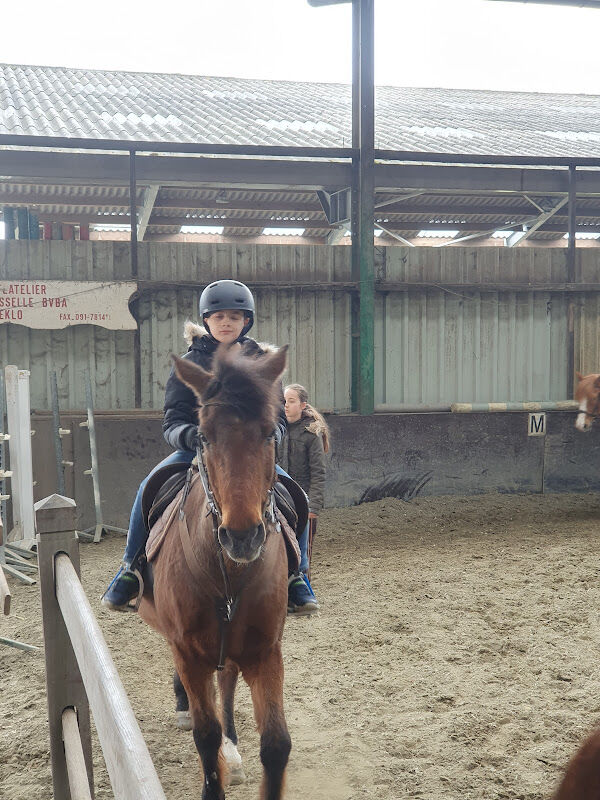 Foto van Manège Heidebos