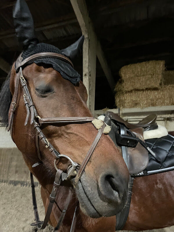 Foto van Epplejeck Horse & Rider Harelbeke