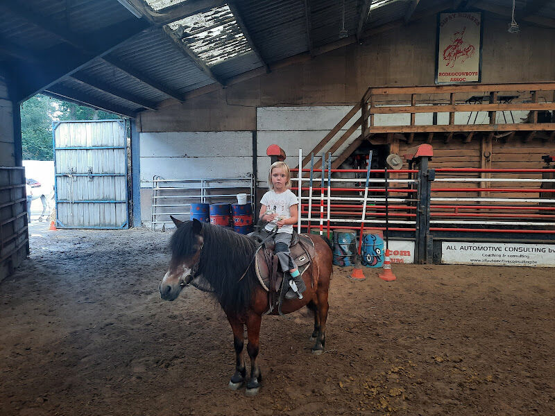 Foto van Gipsy Horses Ranch