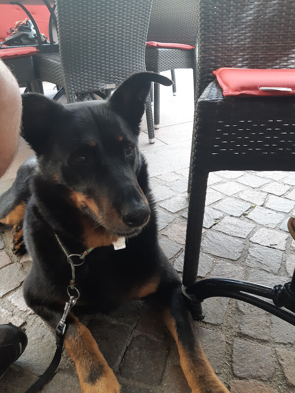 Foto van Hassovet