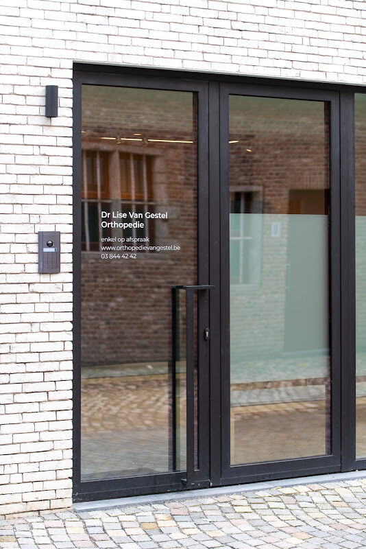Foto van Dr. Lise Van Gestel - Orthopedie