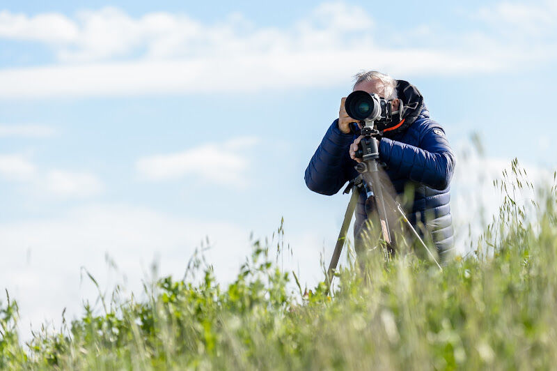 Foto van Bart Heirweg Landscap