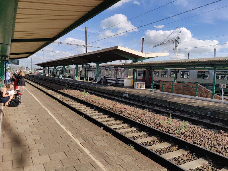 Foto van Denderleeuw