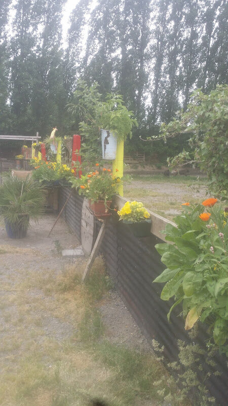 Foto van Vandelanoote / Bernard