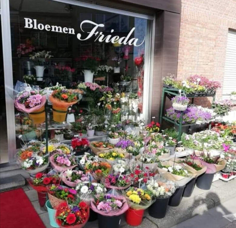 Foto van Bloemen Frieda