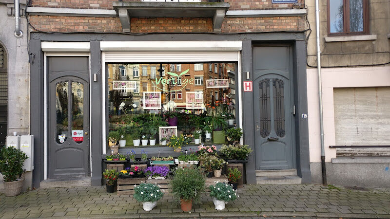 Foto van Verttige