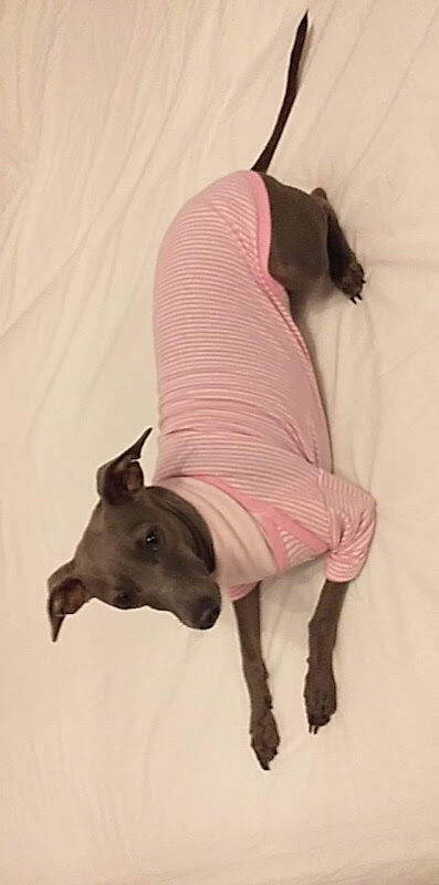 Foto van Dierenartspraktijk Sansen Stefanie