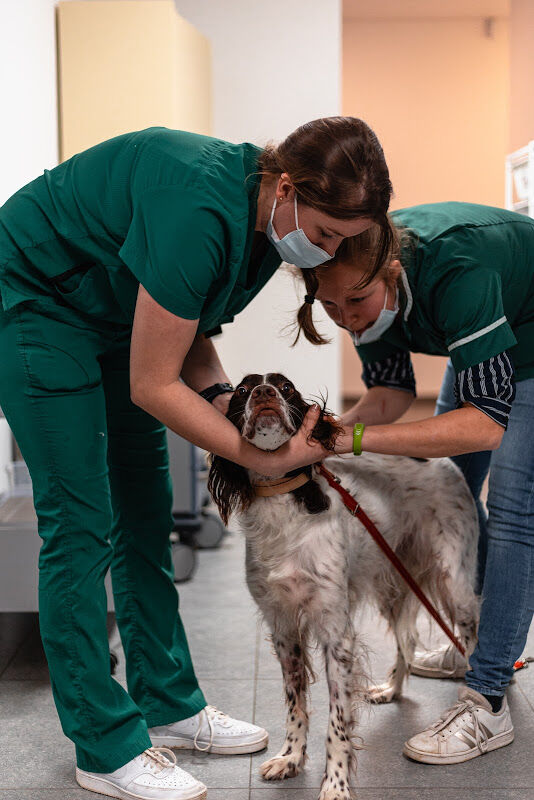 Foto van Dierenartspraktijk Akuut Kortenberg