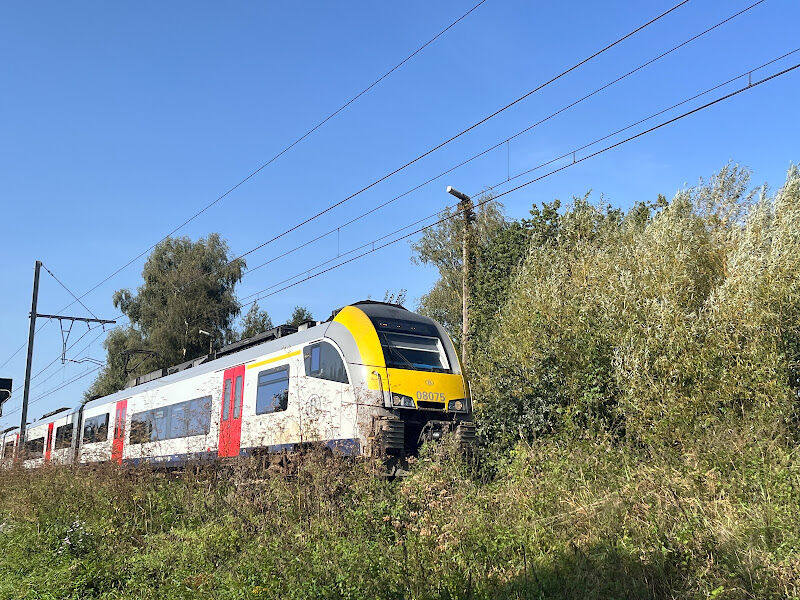 Foto van Zolder