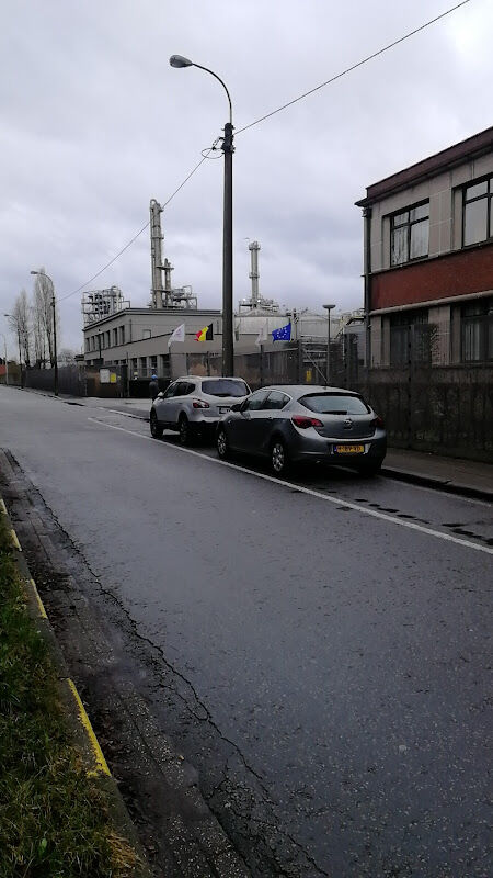 Foto van RAIN CARBON bv