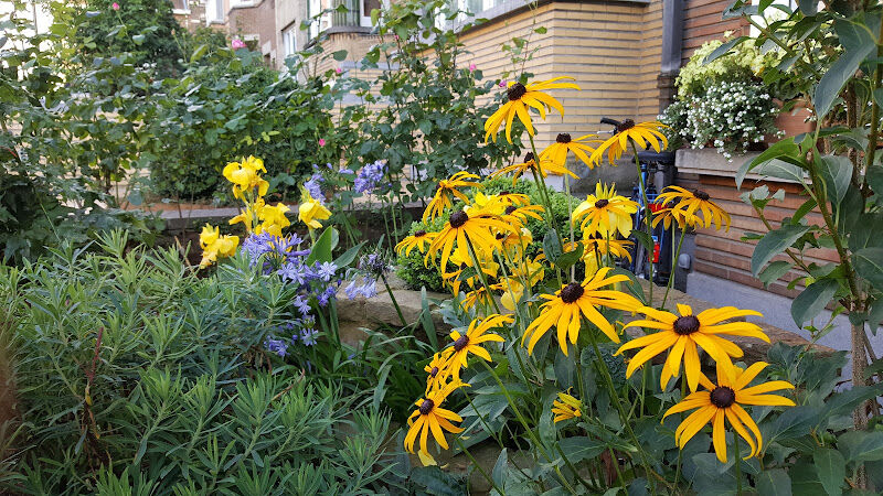 Foto van Natan, your Private Garden Butler