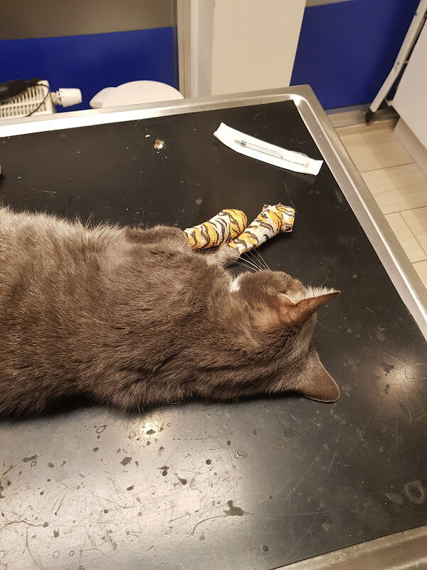 Foto van CABINET VETERINAIRE MERCURE