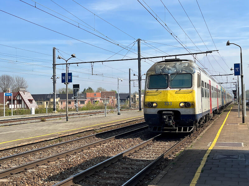 Foto van Lokeren