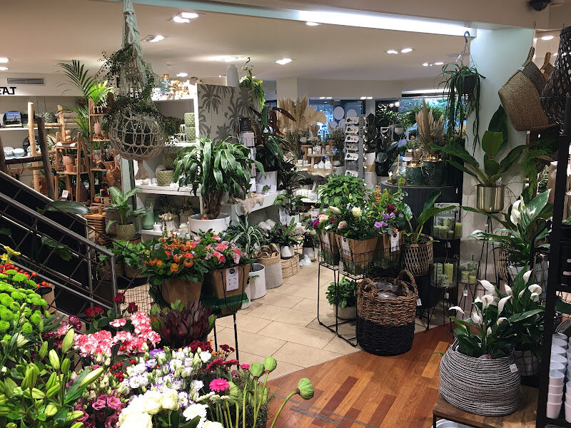Foto van Fleur de Lies - Vuurtorenwijk