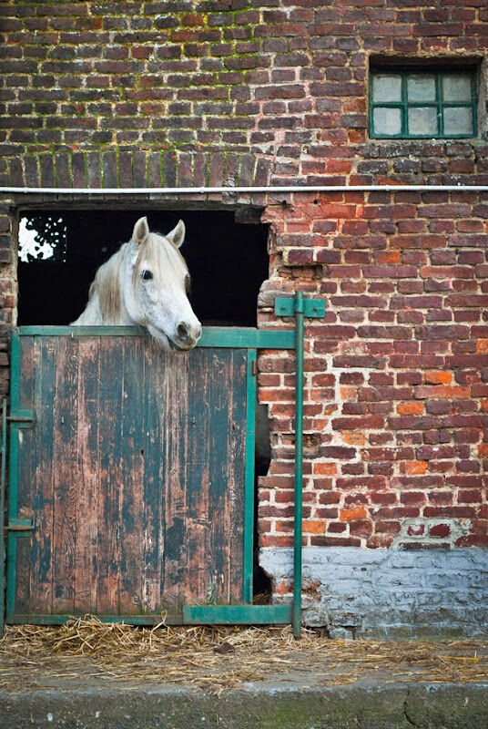 Foto van La Ferme Du Harby