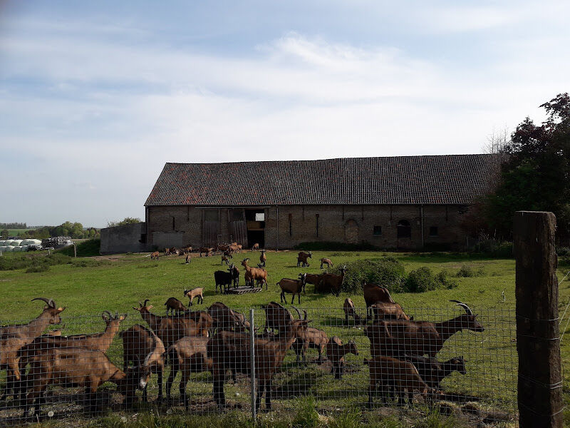 Foto van Bioboerderij Koolmees