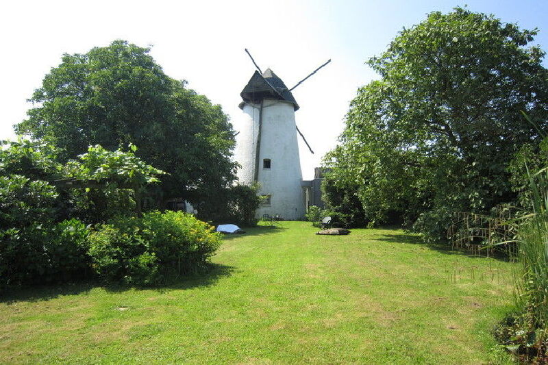 Foto van de REUS van Horebeke