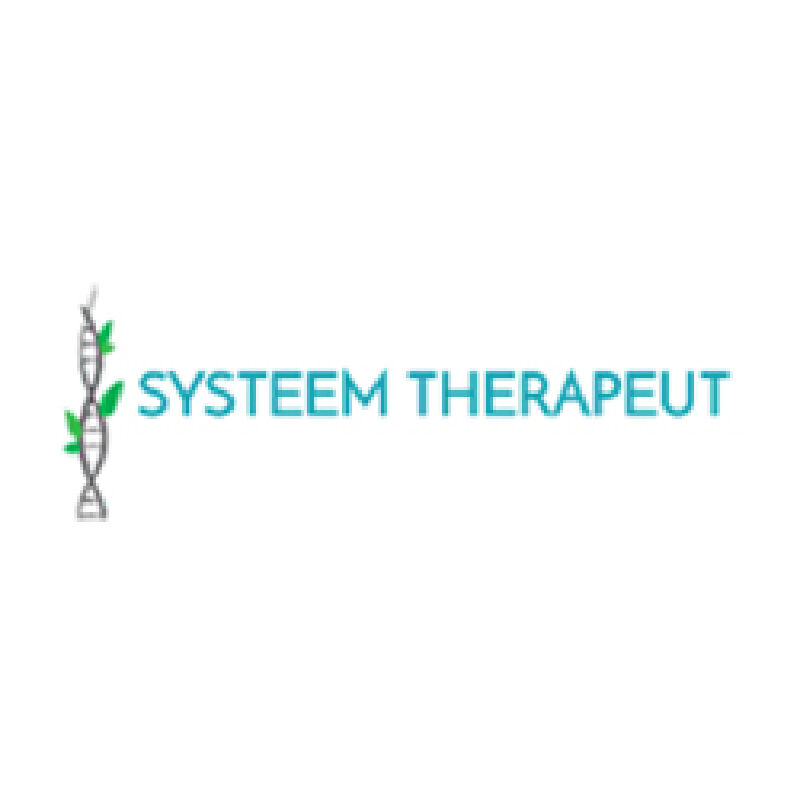Foto van Systeem Therapeut