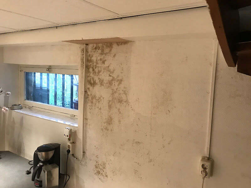 Foto van MUURPRO Stukadoorsbedrijf & Vochtbestrijding