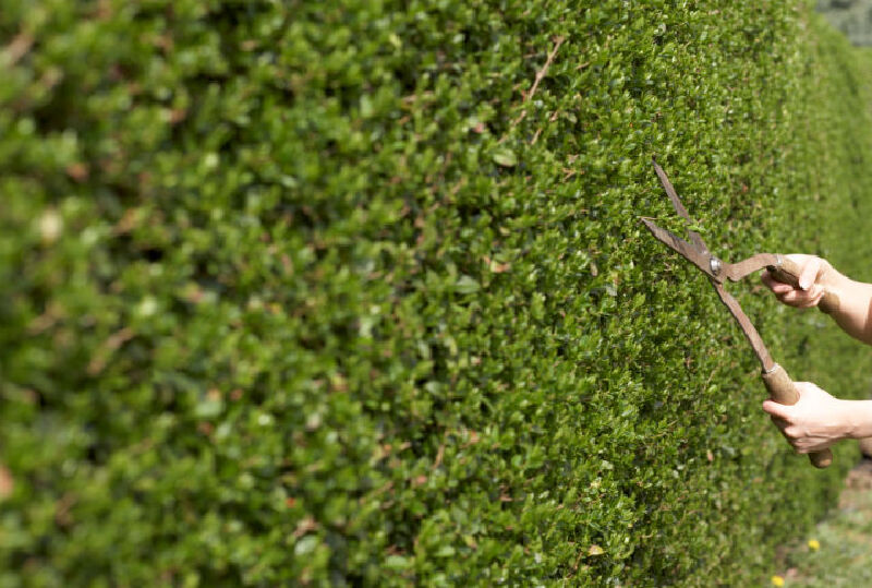 Foto van Tuinwerken Gunther Beyens