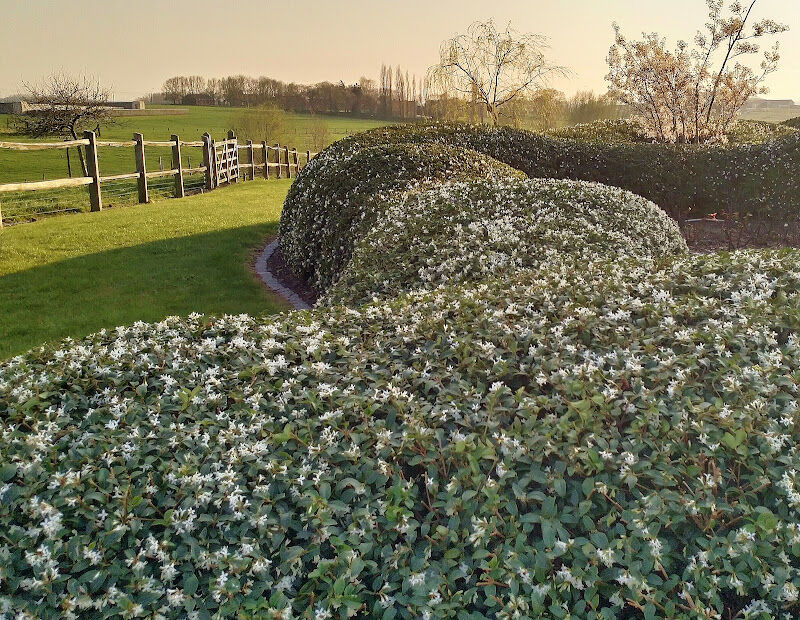Foto van Tuinen Ameel bv