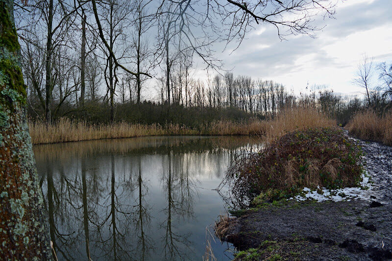 Foto van Berlare broek