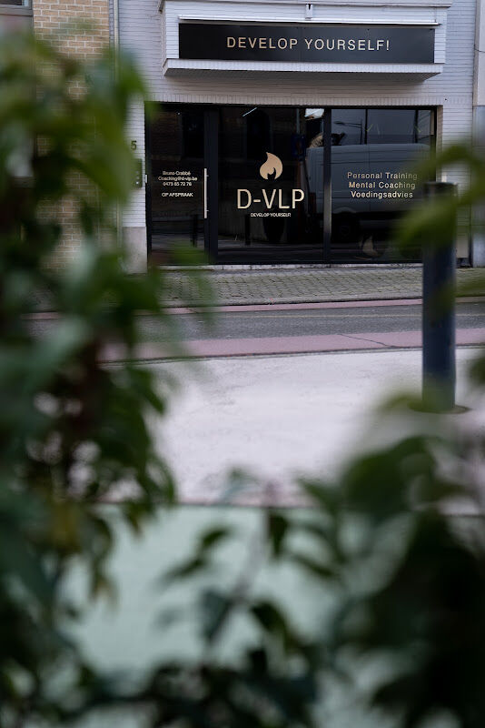 Foto van D-VLP