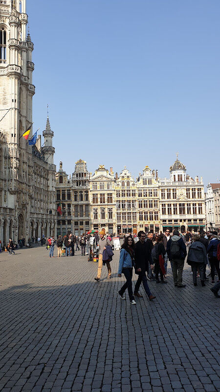 Foto van Viva Tours