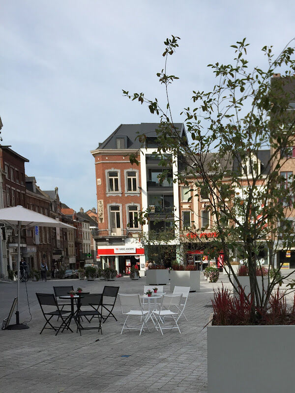 Foto van Hans Anders Sint-Truiden