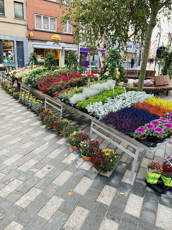 Foto van Le jardin du miroir