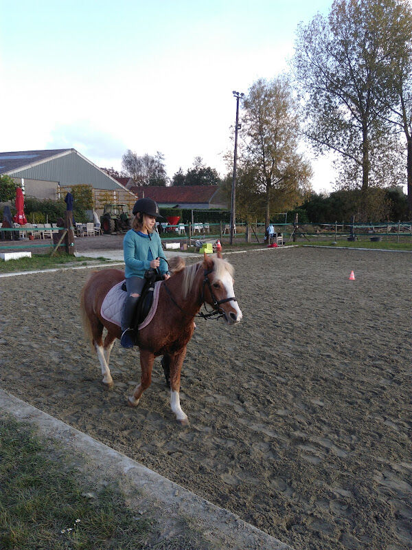 Foto van De Galoppade